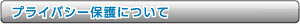 �ץ饤�Х����ݸ�ˤĤ���